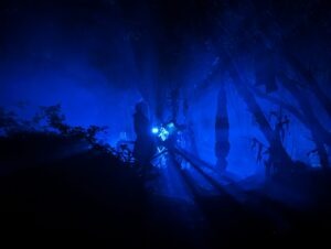 Twisted Pumpkins Review ()
