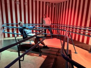 Grona Lund Review ()