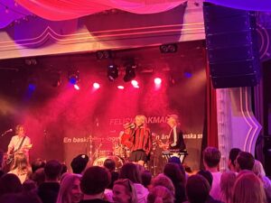 Grona Lund Review ()