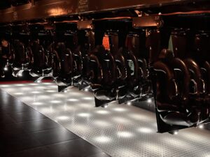 Grona Lund Review ()
