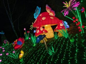 Parc Asterix Winter ()