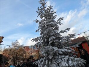 Parc Asterix Winter ()
