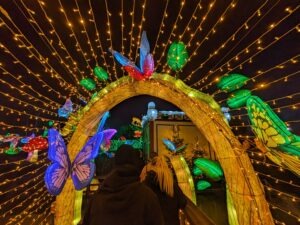 Parc Asterix Winter ()