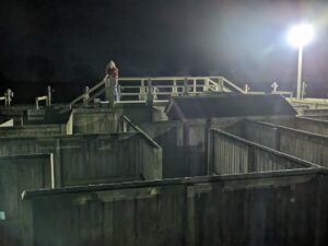 Spooky World Review ()