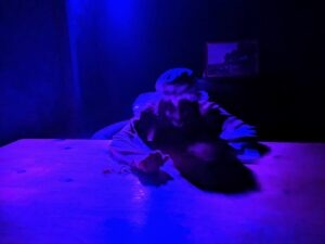 Spooky World Review ()