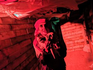 Spooky World Review ()