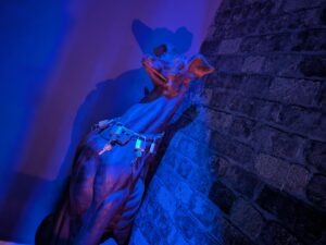 Acid Bath Murderer at Hounds Review ()