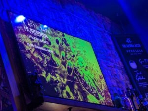 Acid Bath Murderer at Hounds Review ()