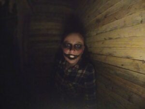 Stourbridge Scare Maze Review ()
