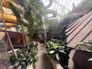 Tropical Islands Review ()