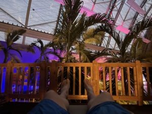 Tropical Islands Review ()