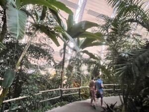 Tropical Islands Review ()