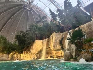 Tropical Islands Review ()