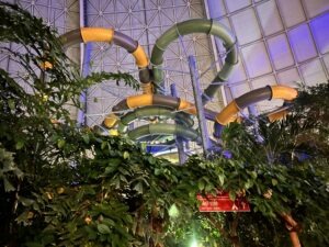 Tropical Islands Review ()