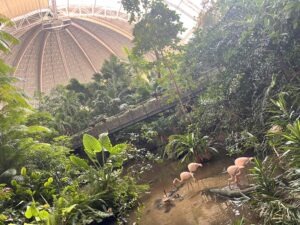Tropical Islands Review ()