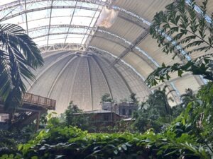 Tropical Islands Review ()