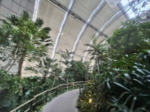 Tropical Islands Review ()
