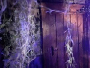 Nethercott Manor at Tulleys Escape Room ()