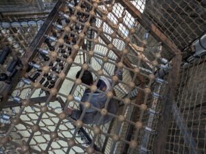 Europa Park Austria ()