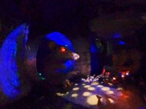 Europa Park Review ()
