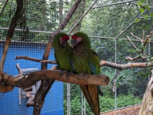 Paultons Park Review ()