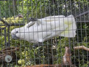 Paultons Park Review ()