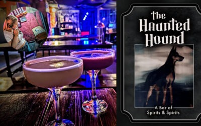 The Haunted Hound by The Great Escape Game Sheffield Review