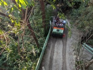 Movieland Italy Review ()
