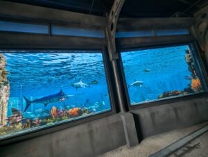 Movieland Italy Review ()