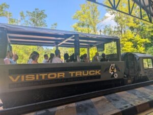 Movieland Italy Review ()