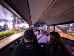 Movieland Italy Review ()