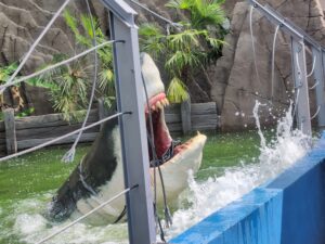Movieland Italy Review ()
