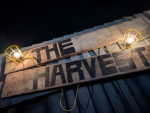 Cursed Essex Review ()