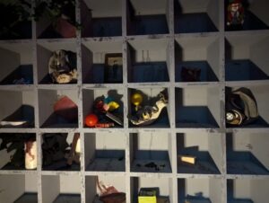 Doncaster Fear Factory Review ()