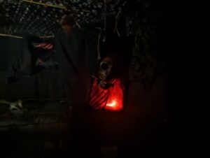 Doncaster Fear Factory Review ()