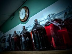 Fairground Frights Great Yarmouth Review ()