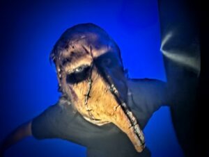 Fairground Frights Great Yarmouth Review ()