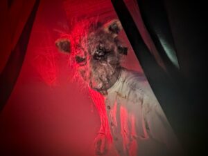 Fairground Frights Great Yarmouth Review ()