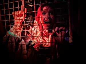 Fear Island at Fantasy Island Review ()