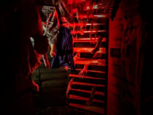 Fear Island at Fantasy Island Review ()