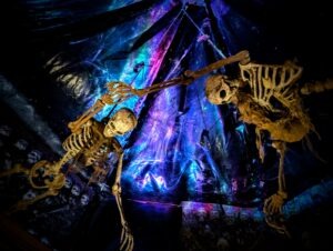 Fear Island at Fantasy Island Review ()