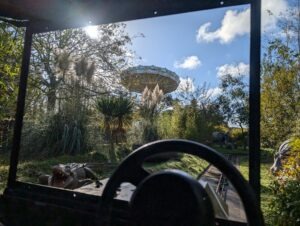 Pleasurewood Chills Review ()