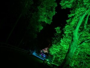 Primevil Review ()
