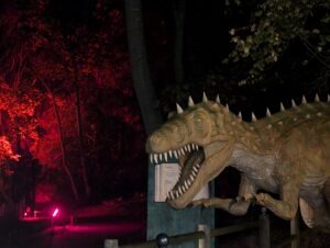 Primevil Review ()