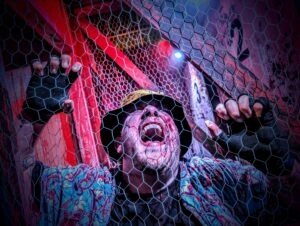 SCREAMS Review ()