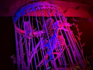SCREAMS Review ()