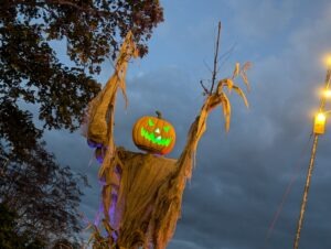 Screamfest Burton Review ()