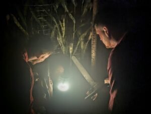 Screamfest Burton Review ()