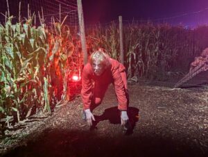 Screamfest Burton Review ()