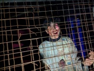 Screamfest Burton Review ()
